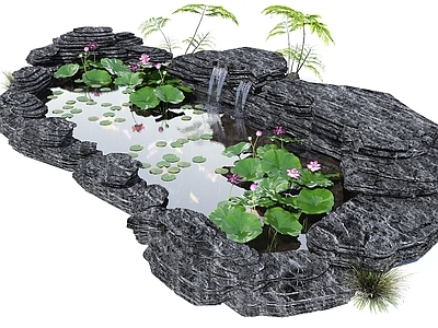 现代其他景观小品 水池 荷花池 观赏锦鲤池 假山叠水 跌水水景