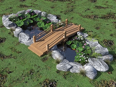 现代其他景观小品 水池 荷花池 观赏锦鲤池 假山叠水 跌水水景