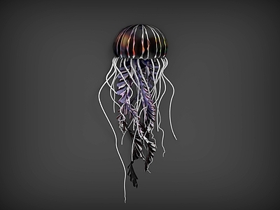 水生类动物 水母 海洋动物 五彩水母 海洋生物