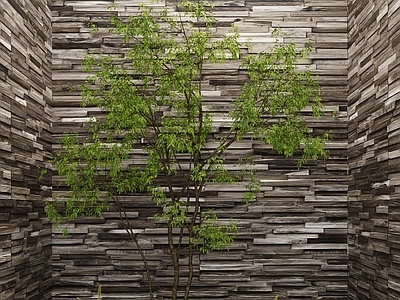 植物堆 植物 绿植 树 室内景观 景观