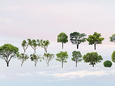 乔木 景观树 行道树 造型树 桂花红枫 乔木灌木