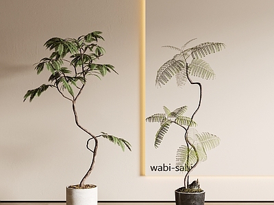 盆栽 新中式盆栽 迎客松 罗汉松 现代盆栽