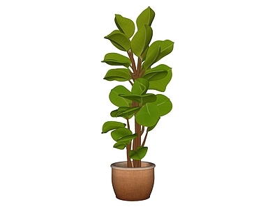 盆栽 现代绿植盆栽