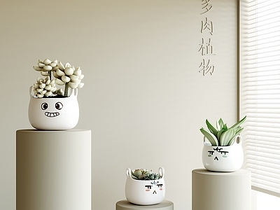 其他绿植 现代多肉盆栽植物