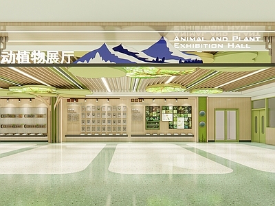 现代其他学校空间 小学动植物展厅 动植物走廊