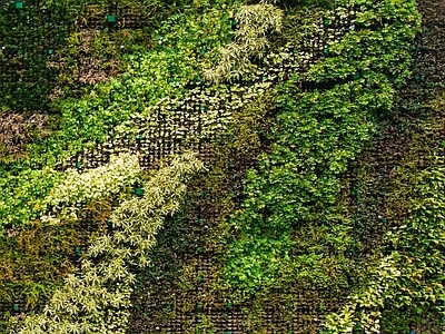 现代自然地面 草坪 公园地面 景观地面 户外地面