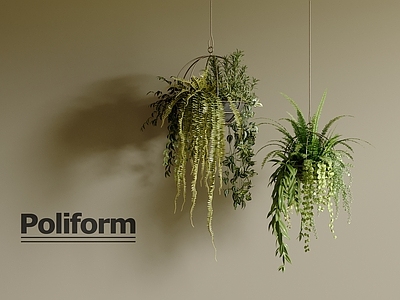 现代挂件 植物挂件 绿植