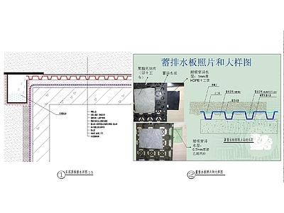给排水节点详图 顶板排水 蓄排水板 施工图
