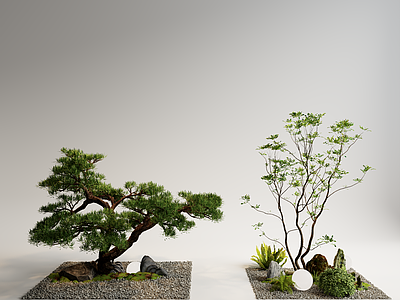 景观树