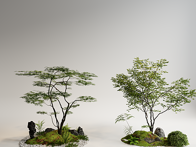 景观树