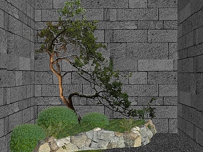 乔木 景观树 造型树