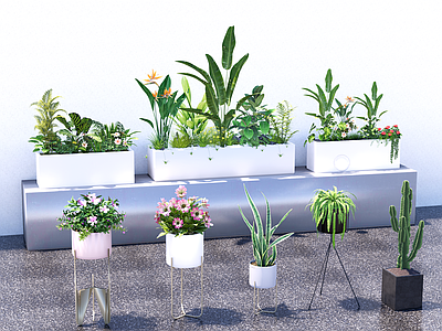 植物组合 盆栽组合 移动花箱 植物堆 花草组合 鹤望兰
