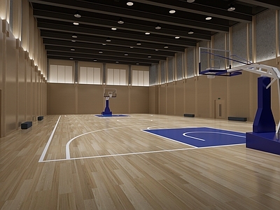 现代原木篮球场 室内篮球场 篮球馆