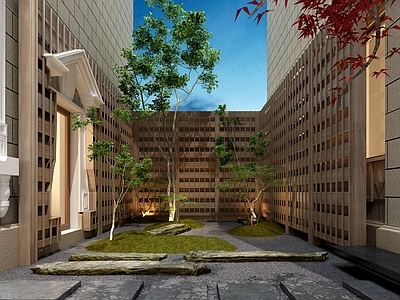 现代新中式庭院 现代别墅庭院 庭院景观 花园