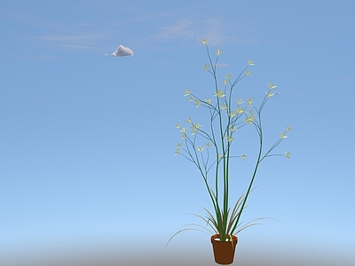 花草 盆栽花草
