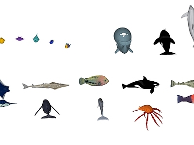 水生动物 海洋生物 鱼类 鲸鱼 章鱼 海豚