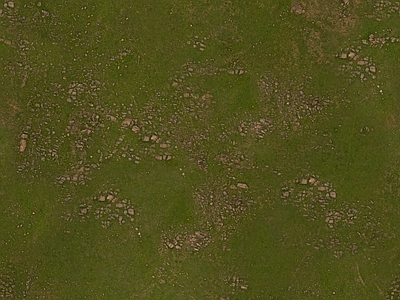 现代自然地面 现代自然草地地面 户外地面 草坪 公园地面 土壤