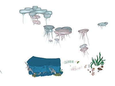 水生动物 水母 水草 贝壳 海洋生物 海底世界
