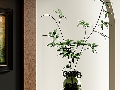 水生植物 现代水生植物