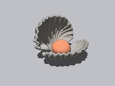 水生动物 贝壳 海鲜 扇贝 珍珠 珍珠贝