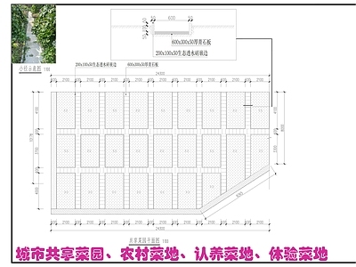 原木极简菜园图库 共享菜地 菜园 城市共享菜园 认养菜地 体验菜地 施工图