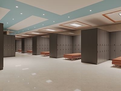 现代简约其他公共空间 浴池更衣室 健身房更衣室 洗浴中心更衣室 浴室换衣间