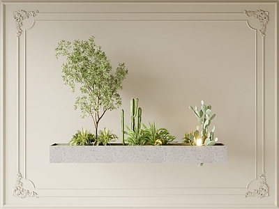 植物堆 盆景 绿植