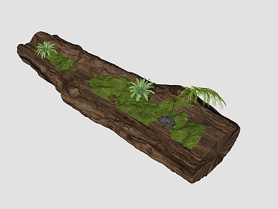 侘寂新中式其他景观小品 枯木 苔藓 景观小品 蕨类 新中式