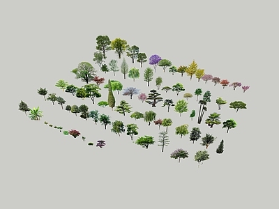 乔木 景观树 花树 乔木 2d