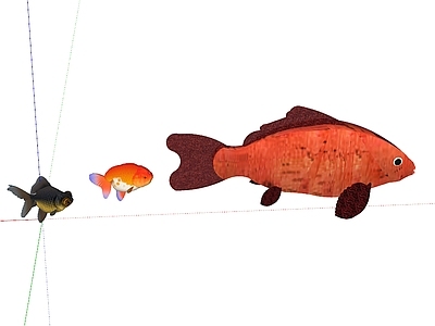 水生动物 鱼 锦鲤 金鱼
