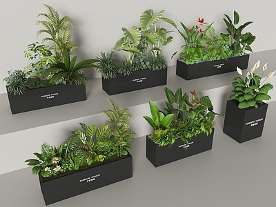 花箱 外摆花箱组合 绿植盆栽 花草组合 绿植堆