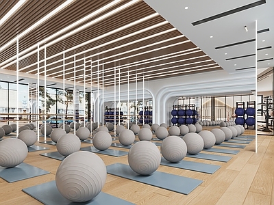 现代瑜伽室 瑜伽室