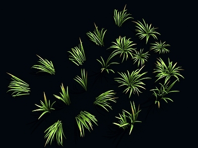 草 草
