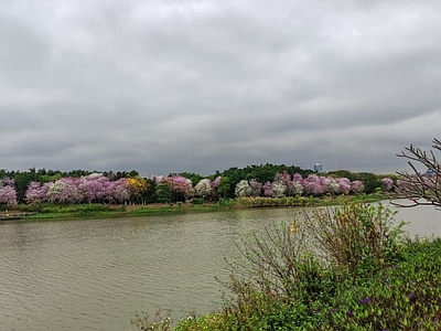 现代其它外景 江景