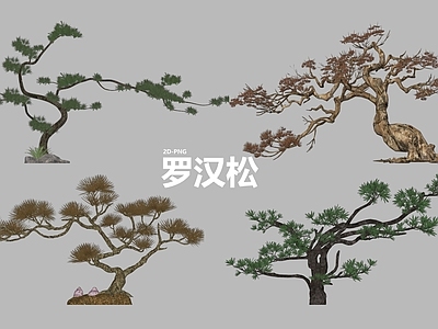 乔木 2D树 松树 造型松 罗汉松