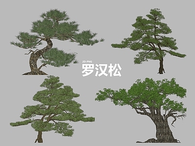 乔木 松树 造型松 2D松 罗汉松 点景树