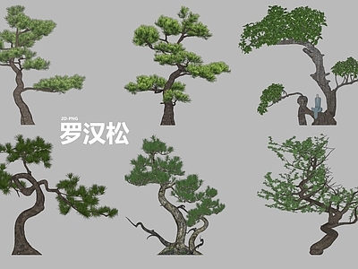 乔木 松树 造型松 2D松 罗汉松 点景树