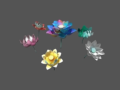 花 莲花 七彩莲花 荷花