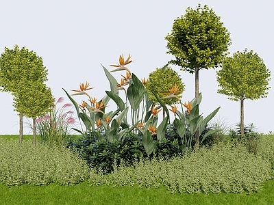 植物组合 树池植物组合 盆栽组合 圆球植物组合 花草组合
