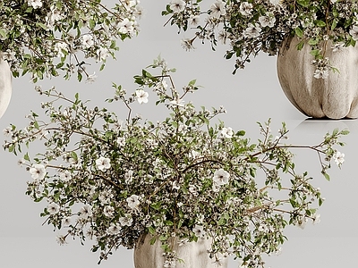 植物堆 花瓶花卉