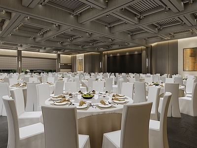现代中式中餐厅 中餐厅明档