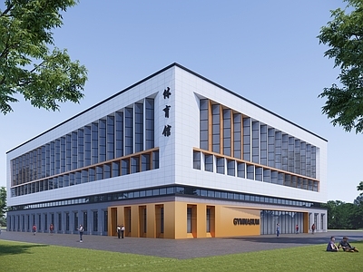 现代体育馆 学校体育馆