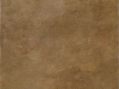 现代其他瓷砖 地砖 墙砖 柔光砖 哑光砖 棕色瓷砖