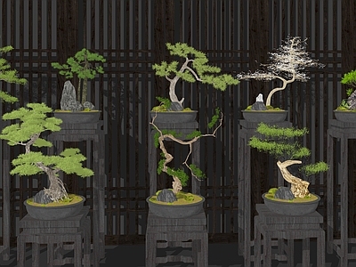 盆栽 绿植盆栽