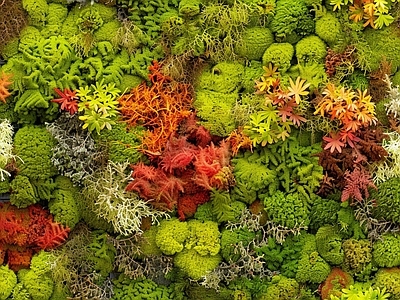现代绿植墙 现代绿植墙 仿真绿植墙 植物墙 绿植墙素材 永生苔藓墙