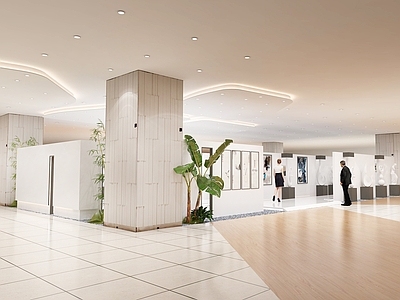 现代新中式其他文化空间 画展