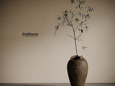 盆栽 侘寂中古风绿植 盆栽植物