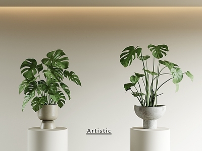 盆栽 现代盆栽植物 吊兰 绿萝 现代龟背植物