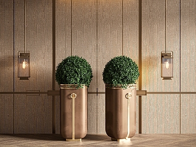 盆栽 盆栽植物 酒店盆栽 吊灯