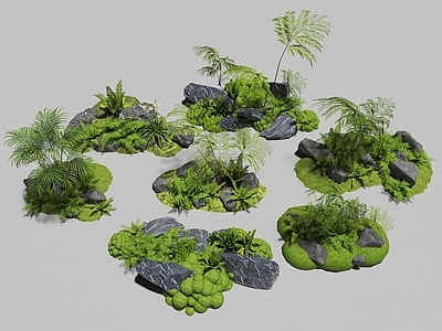 现代石头 石头 蕨类植物 苔藓 绿植堆 景观石头